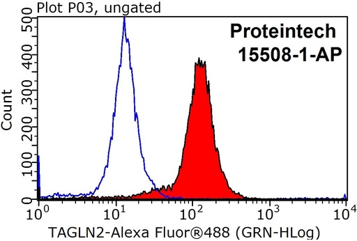 [15508-1-AP-150UL] Transgelin-2-specific Polyclonal antibody