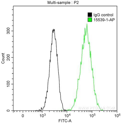 [15539-1-AP-150UL] Cytokeratin 7 Polyclonal antibody