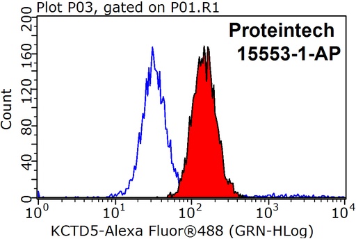 [15553-1-AP-150UL] KCTD2/5/17 Polyclonal antibody