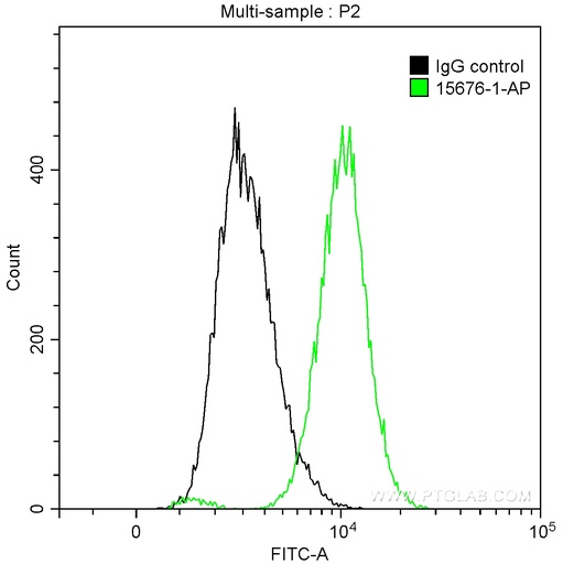 [15676-1-AP-150UL] HEXIM1 Polyclonal antibody