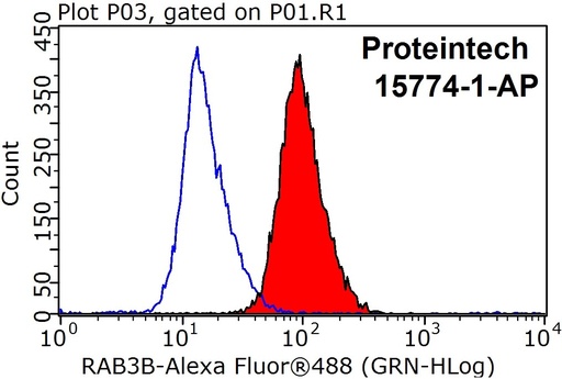 [15774-1-AP-150UL] RAB3B Polyclonal antibody
