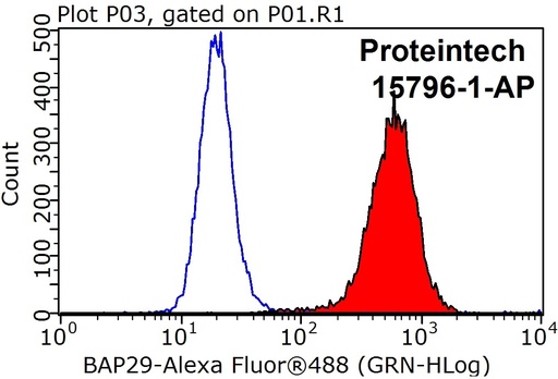 [15796-1-AP-150UL] BAP29 Polyclonal antibody