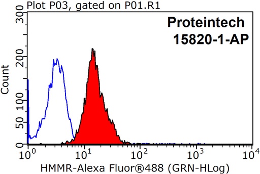 [15820-1-AP-150UL] HMMR-Specific Polyclonal antibody