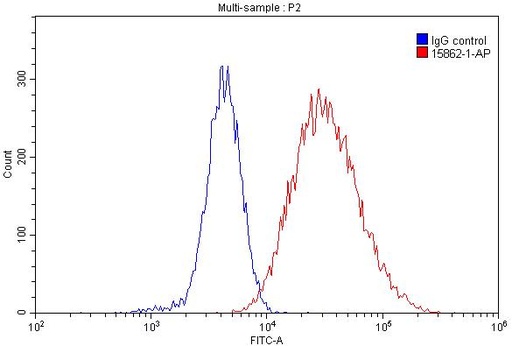 [15862-1-AP-20UL] HLA-DRB1 Polyclonal antibody