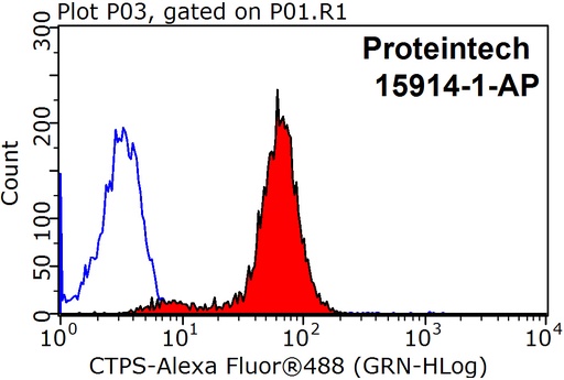[15914-1-AP-150UL] CTP synthase Polyclonal antibody