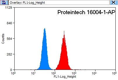 [16004-1-AP-20UL] NBR1 Polyclonal antibody