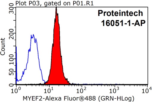 [16051-1-AP-150UL] MYEF2 Polyclonal antibody