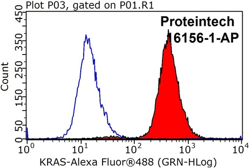 [16156-1-AP-150UL] KRAS-2A-specific Polyclonal antibody