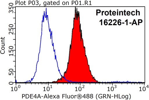 [16226-1-AP-20UL] PDE4A Polyclonal antibody