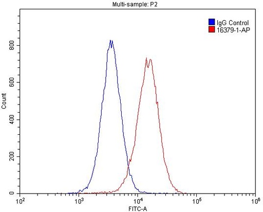 [16379-1-AP-150UL] GSNOR,ADH5 Polyclonal antibody