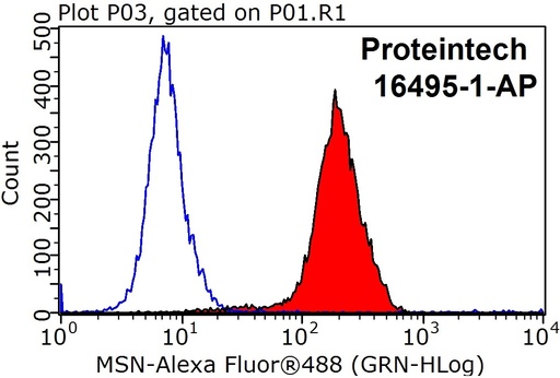 [16495-1-AP-150UL] Moesin Polyclonal antibody