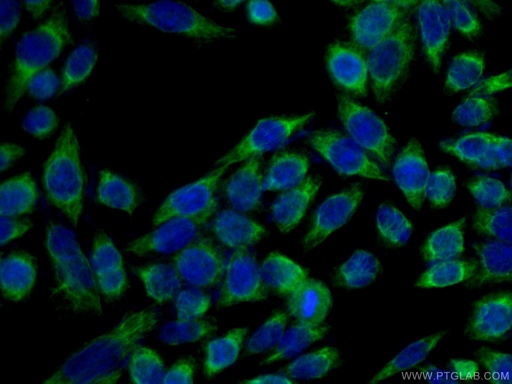 [16480-1-AP-20UL] NDUFA4L2 Polyclonal antibody