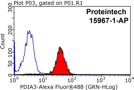 [15967-1-AP-150UL] ERp57/ERp60 Polyclonal antibody