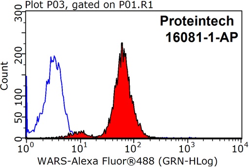 [16081-1-AP-150UL] TrpRS Polyclonal antibody