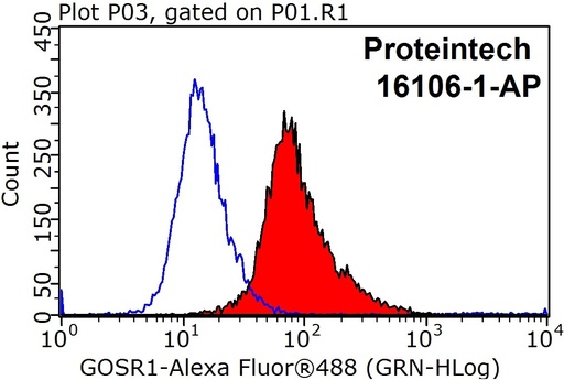 [16106-1-AP-150UL] GS28 Polyclonal antibody