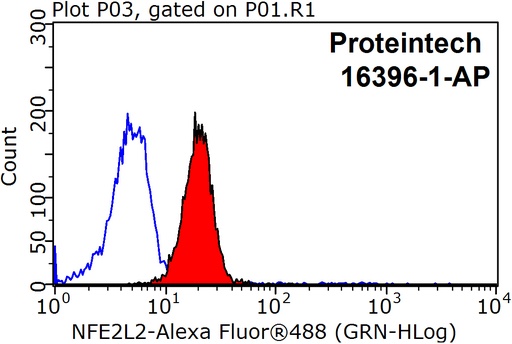 [16396-1-AP-150UL] NRF2, NFE2L2 Polyclonal antibody