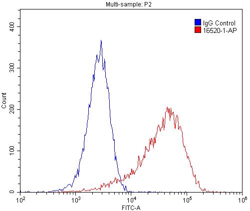 [16520-1-AP-20UL] Desmin Polyclonal antibody