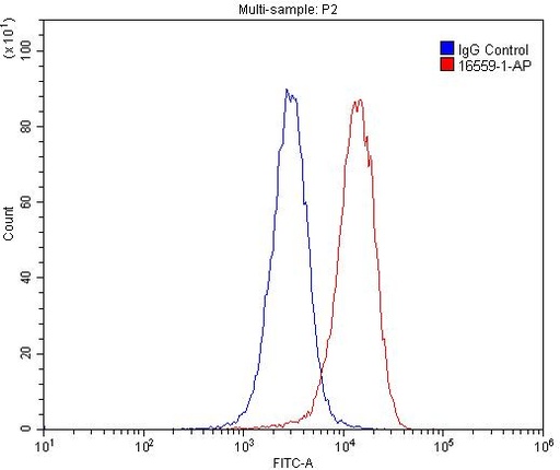 [16559-1-AP-150UL] CD16 Polyclonal antibody