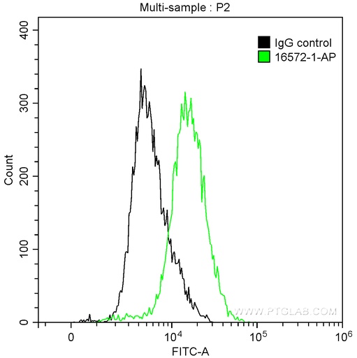 [16572-1-AP-150UL] Cytokeratin 4 Polyclonal antibody