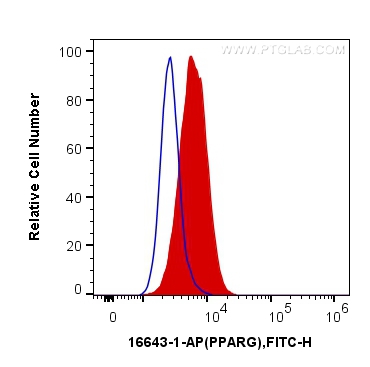 [16643-1-AP-150UL] PPAR Gamma Polyclonal antibody