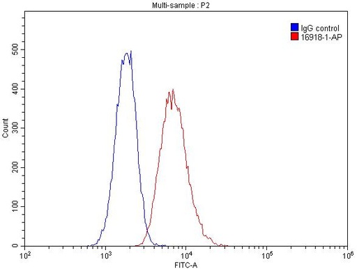 [16918-1-AP-150UL] HLA-DQA1 Polyclonal antibody