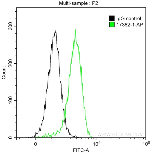 [17382-1-AP-20UL] DNTT,TDT Polyclonal antibody
