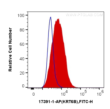 [17391-1-AP-150UL] Cytokeratin 6B Polyclonal antibody