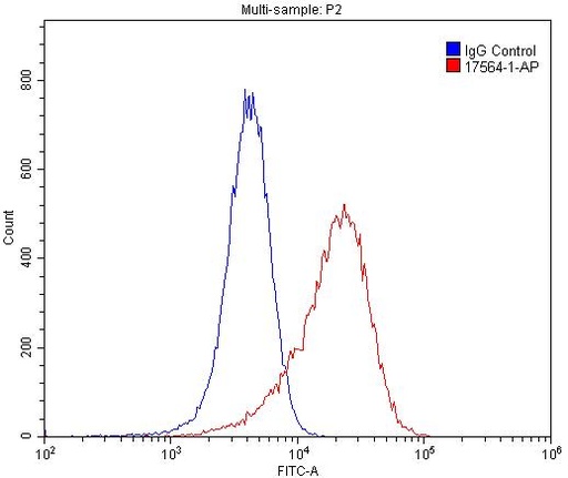 [17564-1-AP-20UL] CD146/MCAM Polyclonal antibody