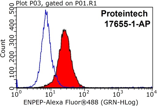 [17655-1-AP-150UL] ENPEP Polyclonal antibody