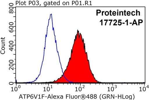 [17725-1-AP-150UL] ATP6V1F Polyclonal antibody