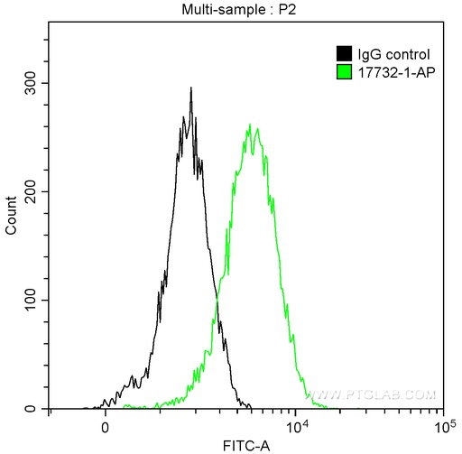 [17732-1-AP-20UL] BCL10 Polyclonal antibody