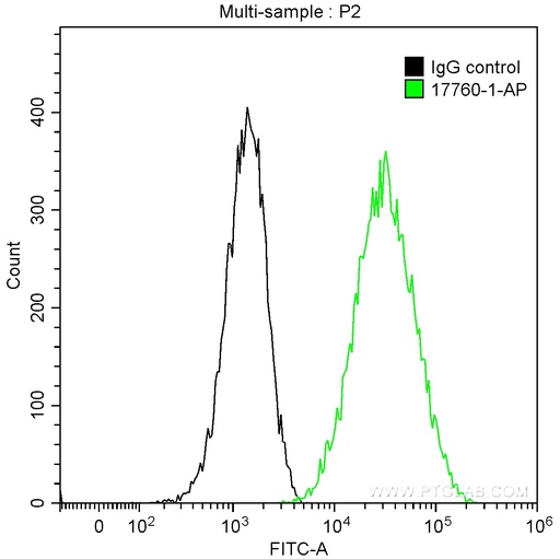 [17760-1-AP-20UL] CORO1A Polyclonal antibody