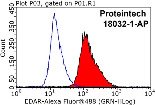 [18032-1-AP-20UL] EDAR Polyclonal antibody
