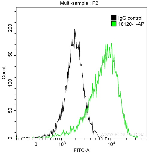 [18120-1-AP-150UL] MSH6 Polyclonal antibody