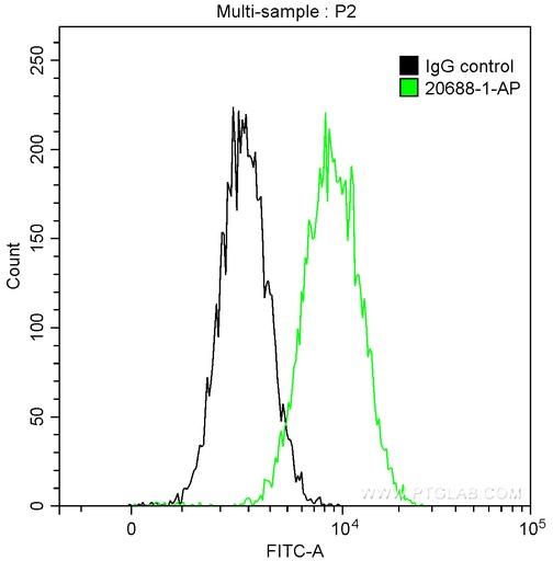 [20688-1-AP-150UL] PAWR Polyclonal antibody