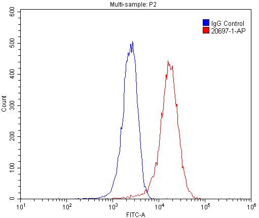 [20697-1-AP-150UL] SHH Polyclonal antibody