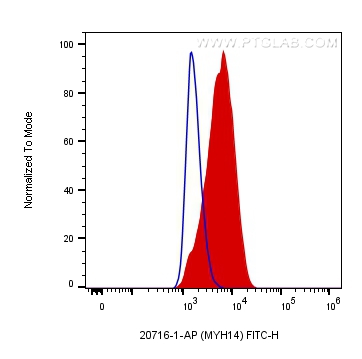 [20716-1-AP-20UL] MYH14 Polyclonal antibody