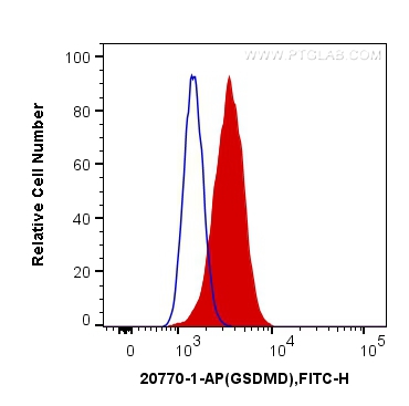 [20770-1-AP-150UL] GSDMD Polyclonal antibody