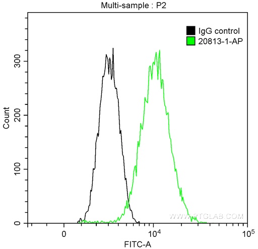 [20813-1-AP-150UL] KDM1 Polyclonal antibody