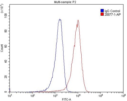 [20877-1-AP-150UL] PKC Epsilon Polyclonal antibody