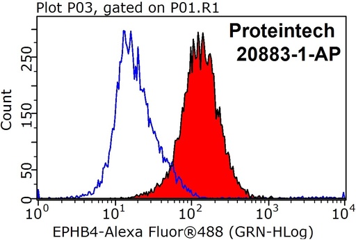 [20883-1-AP-150UL] EPHB4 Polyclonal antibody