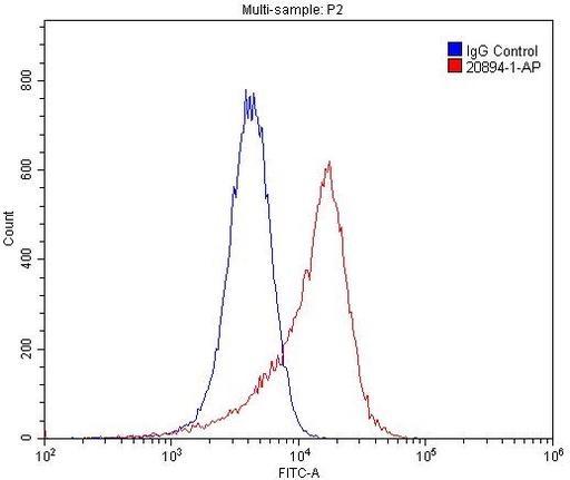 [20894-1-AP-20UL] E-selectin /CD62E Polyclonal antibody