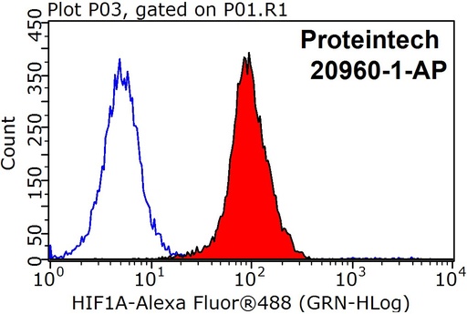 [20960-1-AP-20UL] HIF1a Polyclonal antibody
