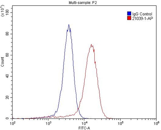 [21039-1-AP-20UL] Willin Polyclonal antibody
