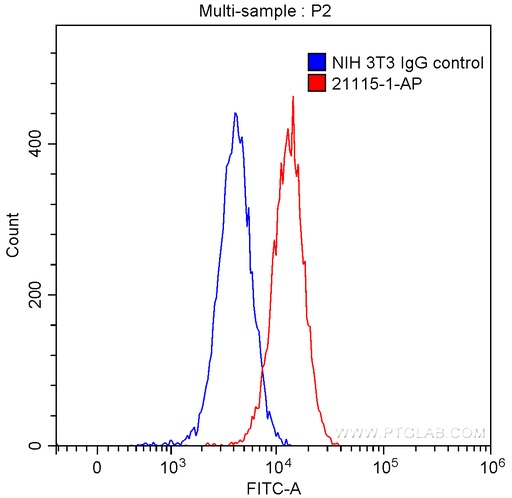 [21115-1-AP-20UL] ACE2 Polyclonal antibody