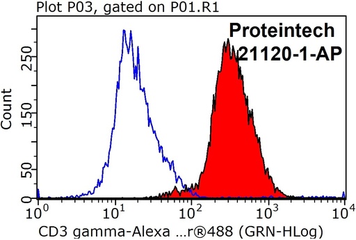 [21120-1-AP-20UL] CD3 Gamma Polyclonal antibody