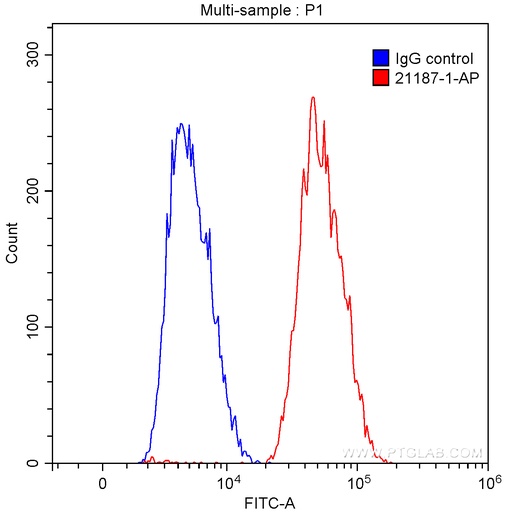 [21187-1-AP-150UL] BCL6 Polyclonal antibody