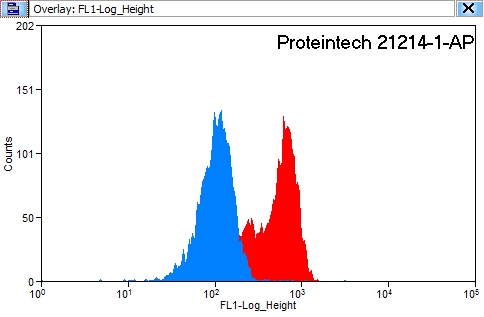 [21214-1-AP-150UL] PLOD2-Specific Polyclonal antibody