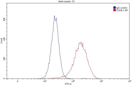 [21316-1-AP-150UL] C5aR Polyclonal antibody