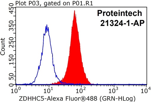 [21324-1-AP-150UL] ZDHHC5 Polyclonal antibody